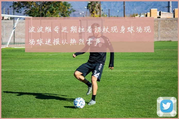 波波维奇近期拄着拐杖现身球场现场球迷报以热烈掌声