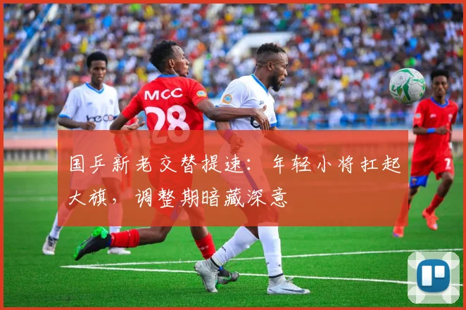 国乒新老交替提速：年轻小将扛起大旗，调整期暗藏深意