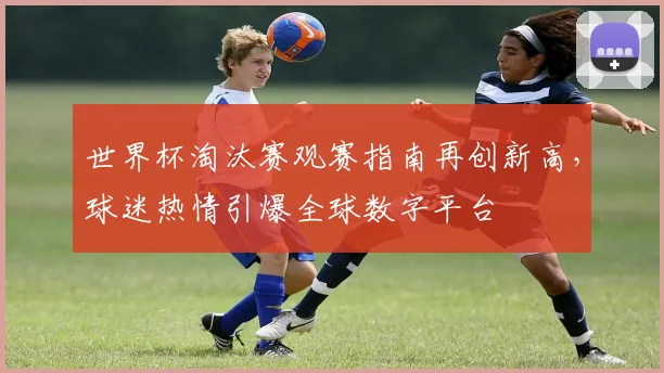 世界杯淘汰赛观赛指南再创新高，球迷热情引爆全球数字平台