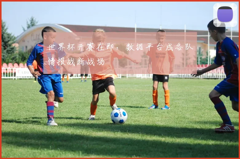 世界杯开赛在即，数据平台成各队情报战新战场